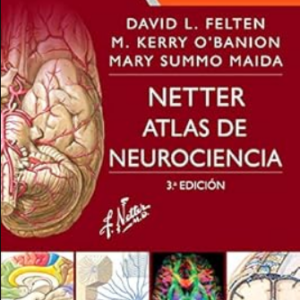 Netter Atlas de Neurociencia 3a Edición